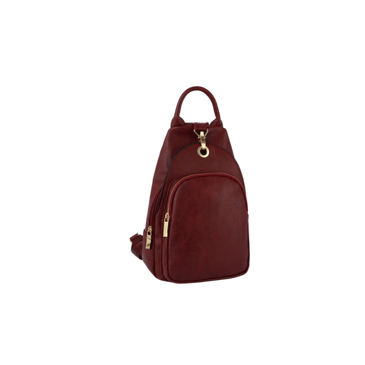 One & Double Strap Backpack