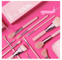 The Ideal 12pc Brush Set